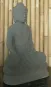morepic-2